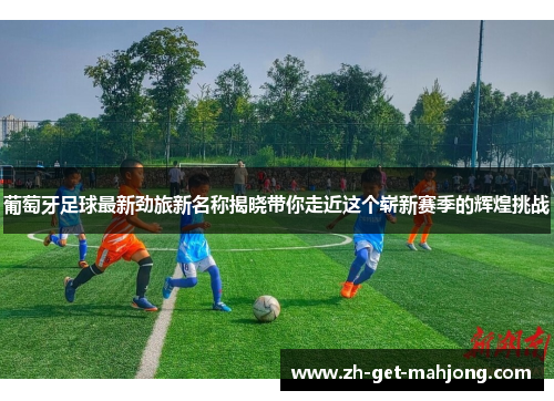 葡萄牙足球最新劲旅新名称揭晓带你走近这个崭新赛季的辉煌挑战