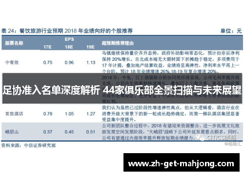 足协准入名单深度解析 44家俱乐部全景扫描与未来展望